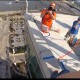 Melanie Reed hangs "Over The Edge" 289 above street level as she starts down the side of the Four Seasons Hotel on the STL riverfront